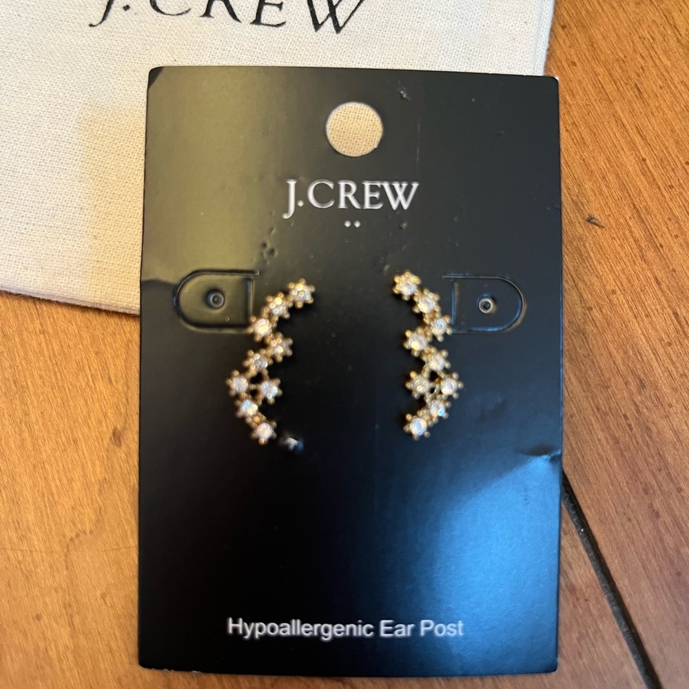 NWT J Crew hypoallergenic earrings w/storage bag